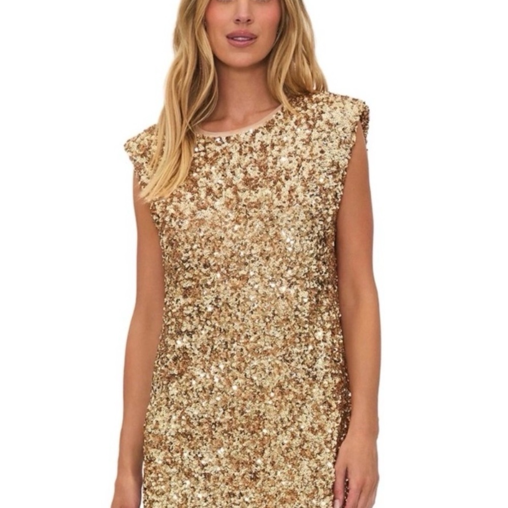 Beach Riot Gold Mirabel Sequin Mini Dress